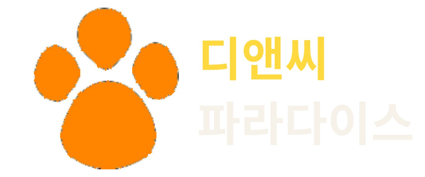 디앤씨파라다이스 LOGO