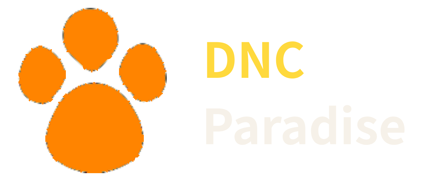 디앤씨파라다이스 LOGO